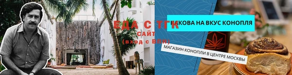 эйфоретик Аркадак