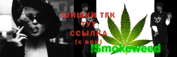 эйфоретик Аркадак