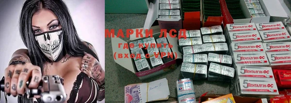 эйфоретик Аркадак