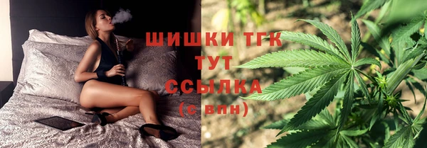эйфоретик Аркадак