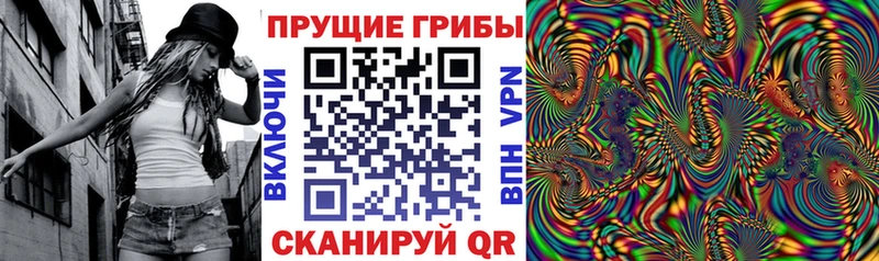 цена наркотик  Бабушкин  Псилоцибиновые грибы Cubensis 